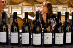 No. 8 - Library Tasting for Ten